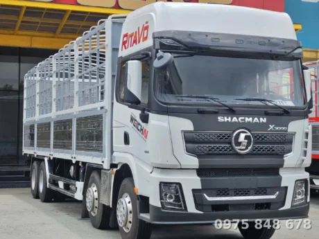thiết kế xe cân đối, mạnh mẽ